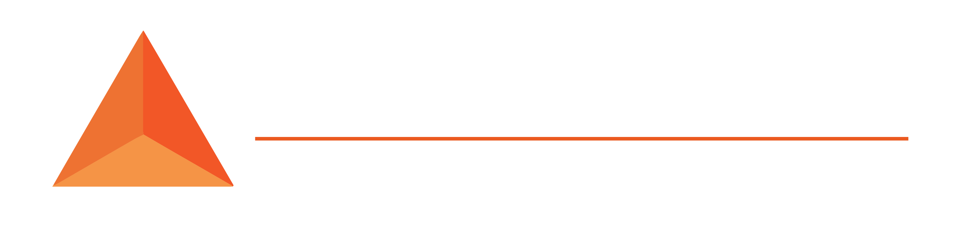 Nexi logo